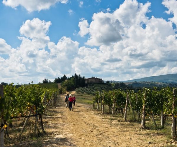 Florence: Private Half-Day Chianti Tour – Florence, Italy