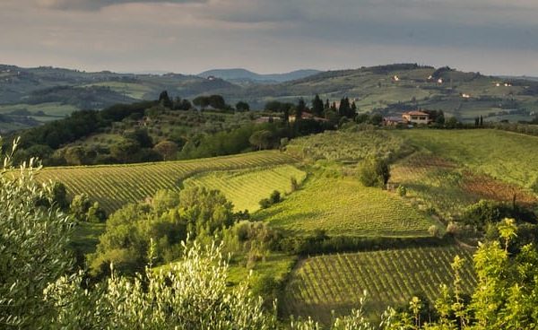 Florence: Tuscany Truffle Hunt Culinary Adventure Tour – Florence, Italy