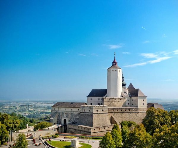 Forchtenstein: Forchtenstein Castle Admission Ticket – Burgenland, Austria