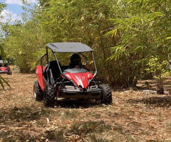 Fort Meade: Dune Buggy Adventures – Orlando, Florida