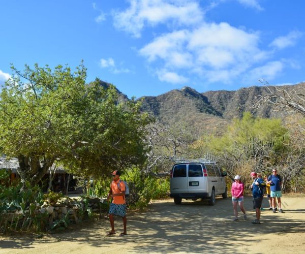 Fox Canyon: Day Hike – Baja California Sur, Mexico