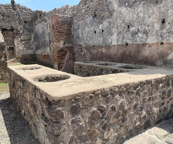 From Amalfi: Pompeii and Mount Vesuvius Private Day Trip – Pompei, Italy