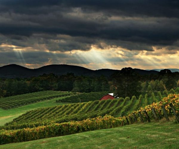 From Atlanta: North Georgia Wine Country Tour – Atlanta, Georgia