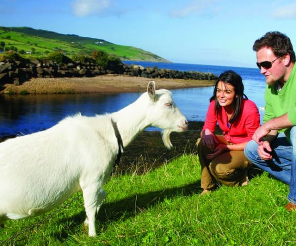 From Belfast: Giant’s Causeway, Dunluce Castle & Dark Hedges – Belfast, United Kingdom