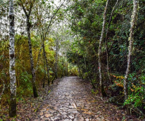 From Bogota: Guatavita Lake & Zipaquira Salt Cathedral Tour – Bogota, Colombia