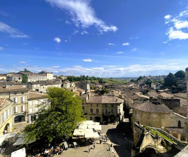 From Bordeaux: Afternoon Saint-Emilion Wine Tasting Trip – Nouvelle-Aquitaine, France