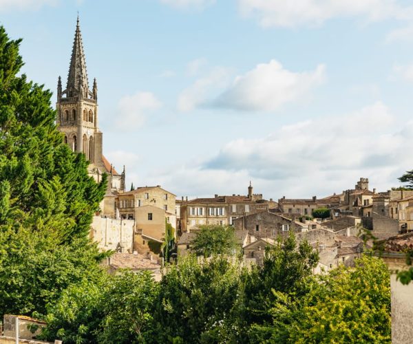 From Bordeaux: Half-Day Saint-Émilion Tour and Wine Tasting – Nouvelle-Aquitaine, France