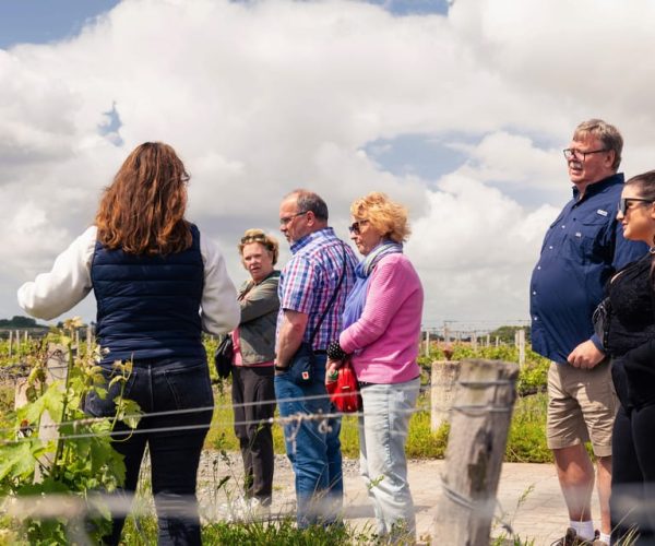 From Bordeaux: Medoc Winery Morning Tour with Wine Tasting – Nouvelle-Aquitaine, France