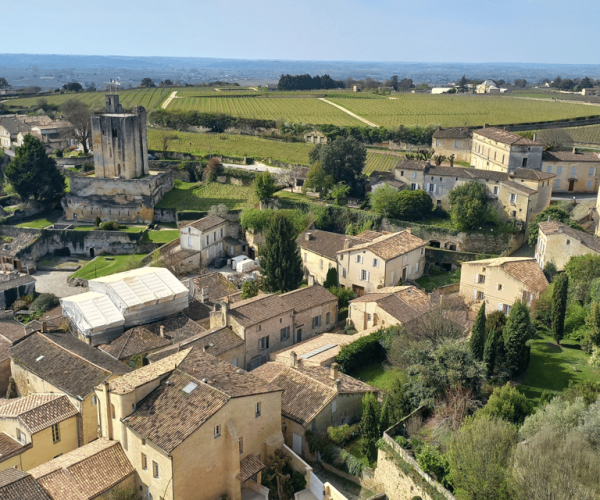 From Bordeaux: Saint-Émilion Half-Day Trip with Wine Tasting – Nouvelle-Aquitaine, France