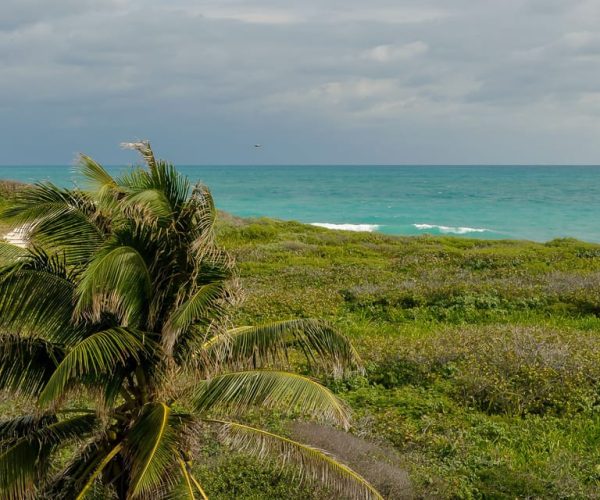 From Cancun: Isla Contoy & Isla Mujeres Tour – Cancun, Mexico