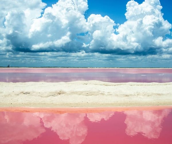 From Cancun: Las Coloradas – Safari & Salt Mining Day Trip – Cancun, Mexico