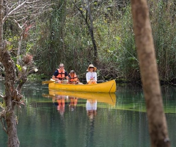 From Cancún: Tulum and Tankah Cenotes Eco-Adventure Tour – Tulum, Mexico