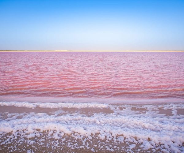 From Cancun/Tulum/Riviera: Las Coloradas & Rio Lagartos Tour – Cancun, Mexico