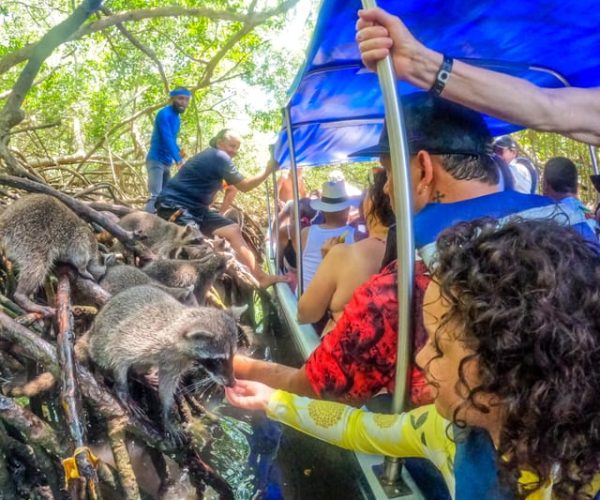 From Cartagena: Baru and Playa Blanca Full-Day Mangrove Tour – Cartagena, Colombia