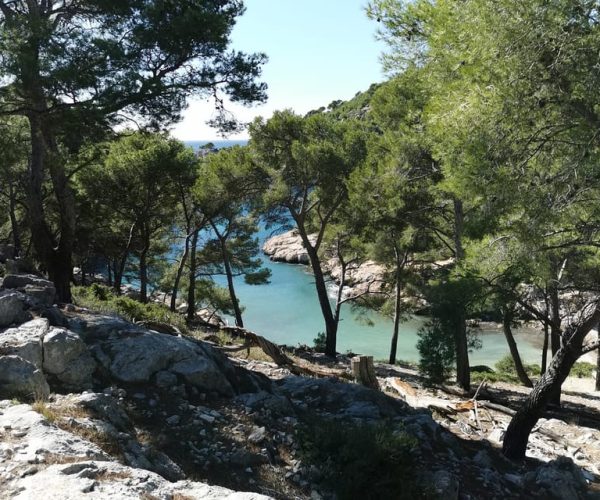 From Cassis: Calanques National Park Guided Hiking Day Trip – Provence-Alpes-Côte d’Azur, France