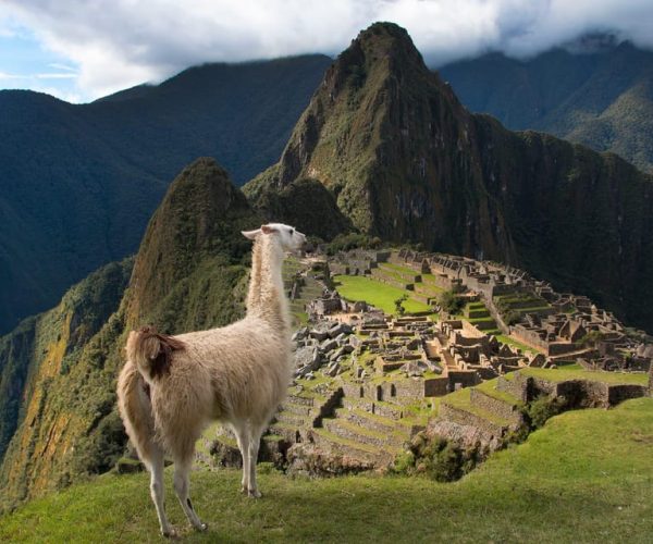 From Cusco : Machu Picchu + Huayna Picchu mountain – Cusco, Peru