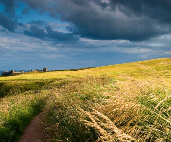 From Edinburgh: Glamis and Dunnottar Castles Tour in Italian – Edinburgh, United Kingdom