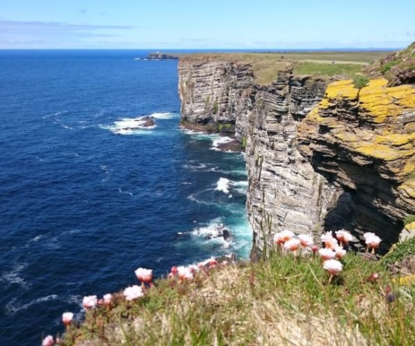 From Edinburgh: Orkney and The Far North 5-Day Tour – Edinburgh, United Kingdom