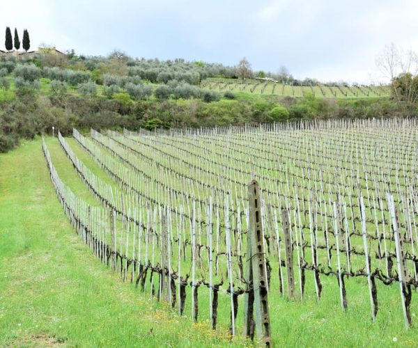 From Florence: Chianti Classico with Lunch Half-Day – Florence, Italy