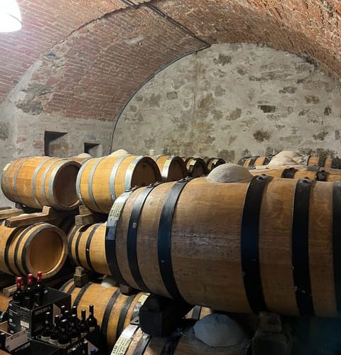 From Florence: Chianti Visit to 3 Historic Cellars & Lunch – Florence, Italy