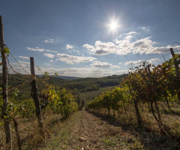 From Florence: Chianti Wine Tastings at Sunset Day Trip – Florence, Italy