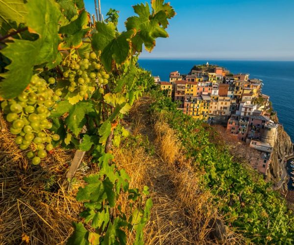 From Florence: Cinque Terre Small Group Tour with Lunch – Florence, Italy