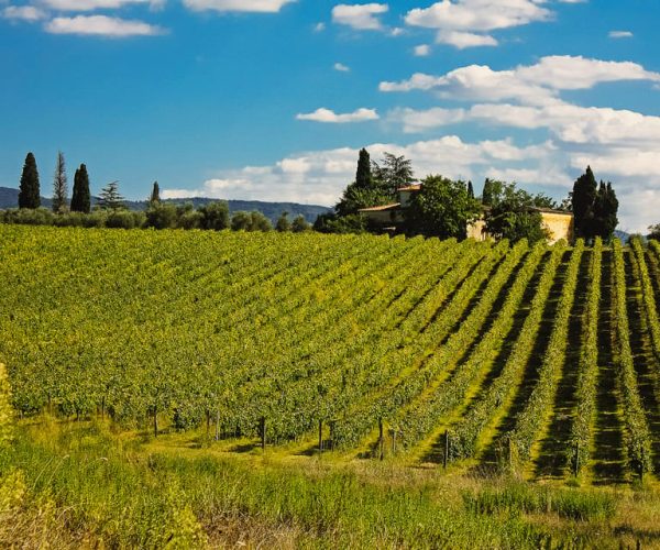 From Florence: San Gimignano and Chianti Private Tour – Florence, Italy