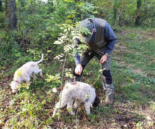 From Florence: Truffle Hunt and Lunch in the Countryside – Florence, Italy