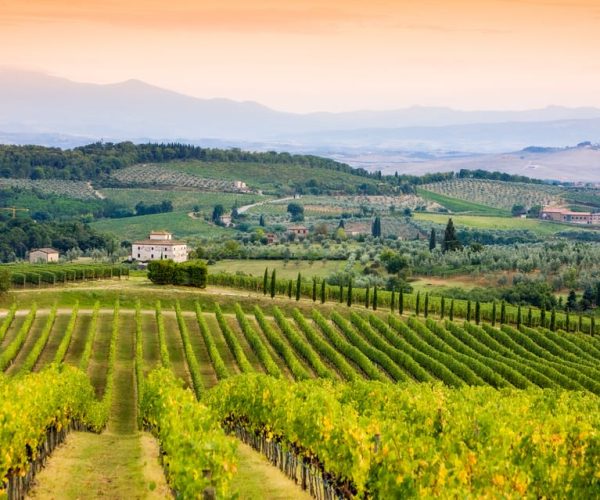 From Florence: Tuscany Wine & Food Tour with Guide – Florence, Italy