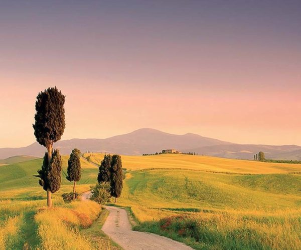 From Florence: Val D’Orcia, Montepulciano, Pienza Wine Tour – Florence, Italy