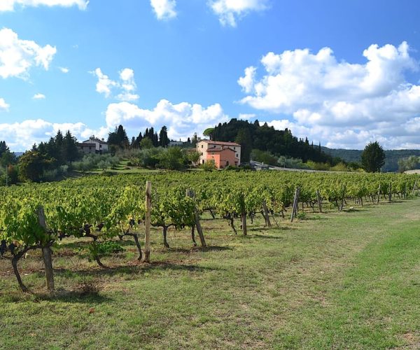 From Florence: Wine Tasting Tour at Historical Winery – Florence, Italy