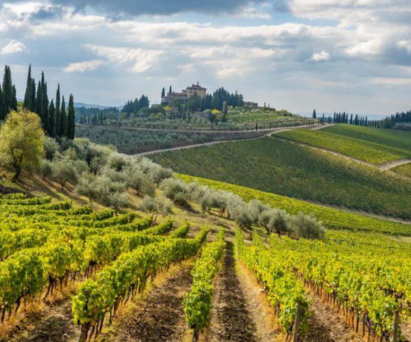 From Florence: Wine Tour in Siena and Chianti – Florence, Italy