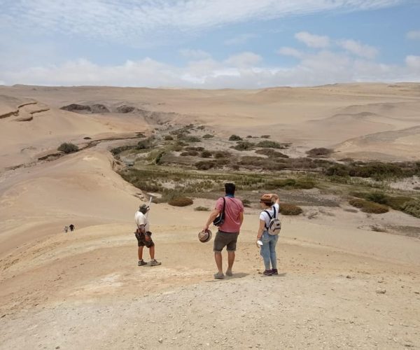 From Ica: Canyon of the lost Day Trip – Ica, Peru