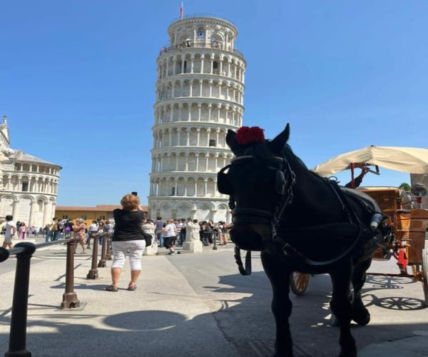 From Livorno Cruise Port: Bus Transfer to Pisa and Lucca – Tuscany, Italy