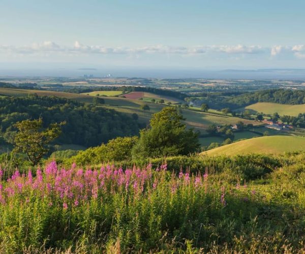 From London: Canterbury & White Cliffs of Dover Tour – London, United Kingdom