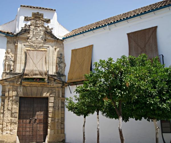 From Málaga: Córdoba Mosque Cathedral Guided Tour – Andalusia, Spain