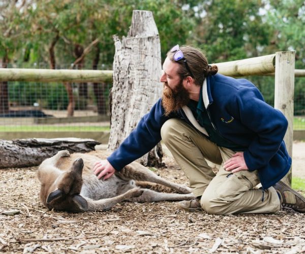 From Melbourne: Phillip Island Eco Wildlife Tour – Melbourne, Australia