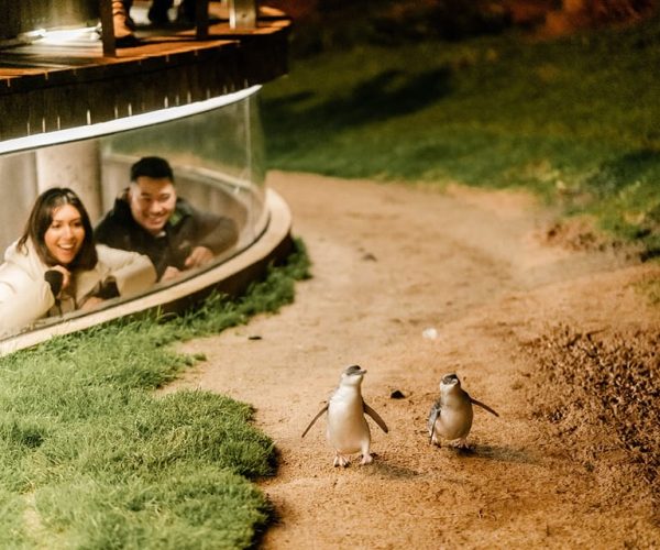 From Melbourne: Phillip Island Penguin Parade Express – Melbourne, Australia