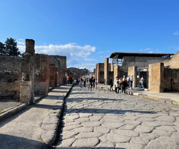 From Naples: Pompeii Guided Tour with Skip-the-Line Tickets – Naples, Italy