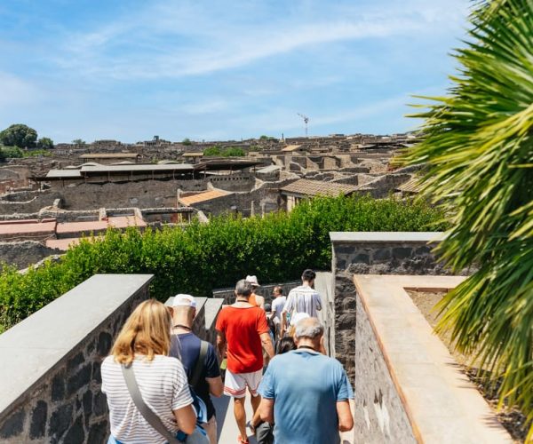 From Naples: Pompeii Ruins & Mount Vesuvius Day Tour – Naples, Italy