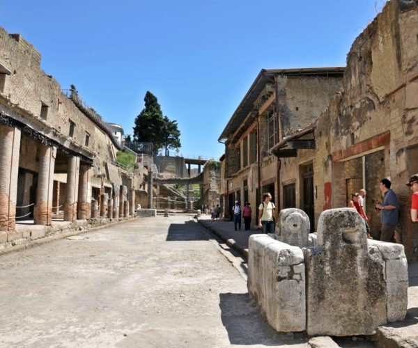 From Naples: Pompeii and Herculaneum Tour with Local Lunch – Naples, Italy