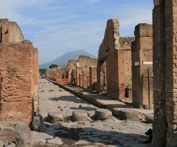 From Naples: Private tour Vesuvius, Herculaneum and Pompeii – Naples, Italy