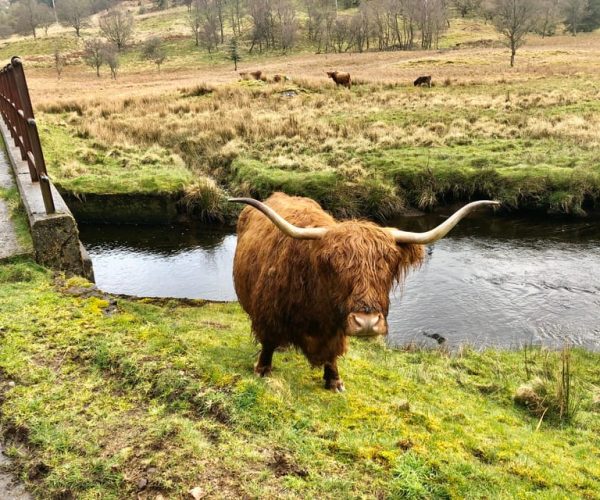 From Oban Glencoe and Castles Tour – Scottish Highlands, United Kingdom