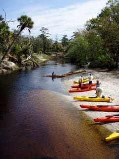 From Orlando: Kayaking the Econlockhatchee River with Lunch – Orlando, Florida