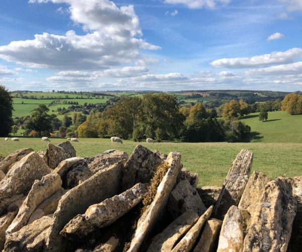 From Oxford: Cotswolds Adventurer Tour – South East England, United Kingdom