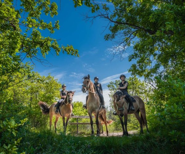 From Paris: Horse-riding, Gastronomy & Fontainebleau Castle – Paris, France