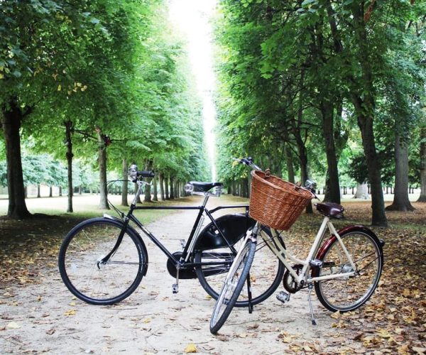 From Paris: Skip-the-Line Palace of Versailles Bike Tour – Paris, France