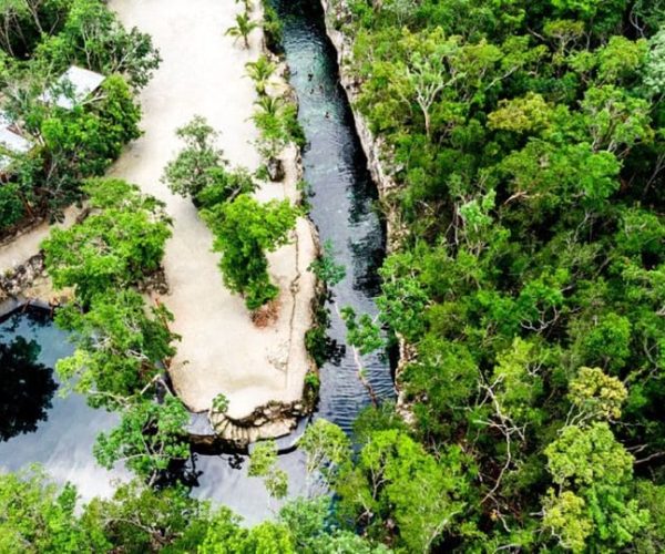 From Playa del Carmen: Casa Tortuga 4 Cenotes – Playa del Carmen, Mexico