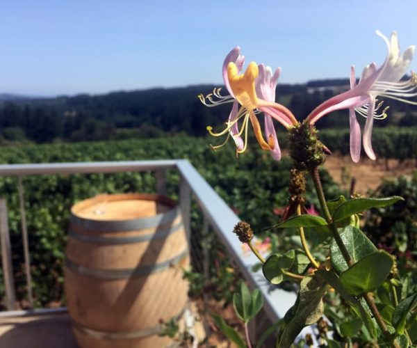 From Portland: Willamette Valley Character Wineries – Portland, Oregon