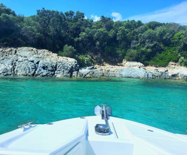 From Propriano: Private Boat Tour with Skipper – Corsica, France